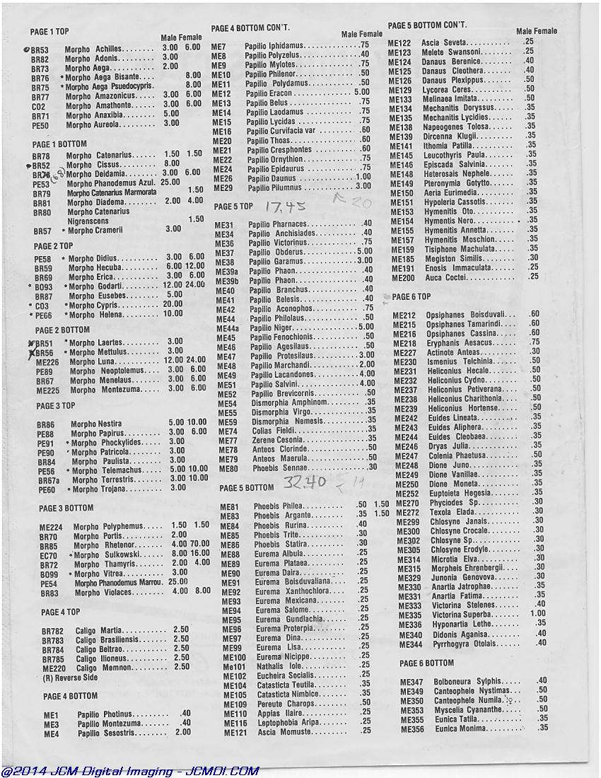 The Butterfly Company (NY) 20 page catalog 1978